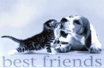 beste-freunde