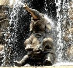 elefant-wasserfall