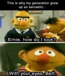 ernie-wie-sehe-ich