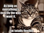 katze-wenn-alles-so-laeuft-wie-ich-will-flexibel