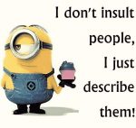 minion-nicht-beleidigen-aber-beschreiben
