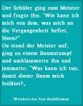 weisheit-baumstumpf-los-lassen